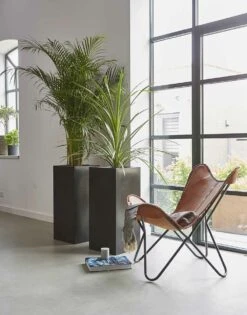 Capi Plantenbak Rechthoek Urban Smooth NL - L36 X B36 X H79cm - Zwart -Plant Benodigdheden Winkel pot rechthoek smooth nl 36x36x79 zwart plantenbak 6 9