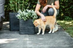 Capi Plantenbak Vierkant Nature Rib NL - L30 X B30 X H30cm - Zwart -Plant Benodigdheden Winkel pot vierkant rib nl 30x30x30 zwart plantenbak 7 8