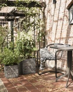 Capi Plantenbak Vierkant Nature Rib NL - L50 X B50 X H50cm - Antraciet -Plant Benodigdheden Winkel pot vierkant rib nl 50x50x50 antraciet plantenbak 6 9