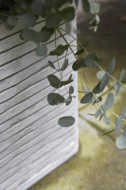 Capi Plantenbak Vierkant Nature Row NL - L30 X B30 X H30cm - Ivoor -Plant Benodigdheden Winkel pot vierkant row nl 30x30x30 ivoor plantenbak 6 9