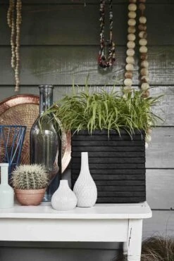 Capi Plantenbak Vierkant Nature Row NL - L40 X B40 X H40cm - Zwart -Plant Benodigdheden Winkel pot vierkant row nl 40x40x40 zwart plantenbak 6 8