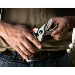 Professionele Felco 2 Snoeischaar Max 25 Mm - Felco -Plant Benodigdheden Winkel professionele felco 2 snoeischaar max 25 mm felco 2 7