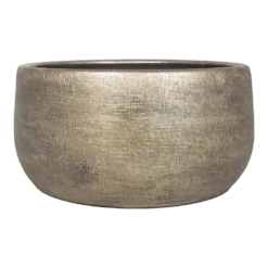 Plantenschaal Mira - D34 X H15cm - Goud